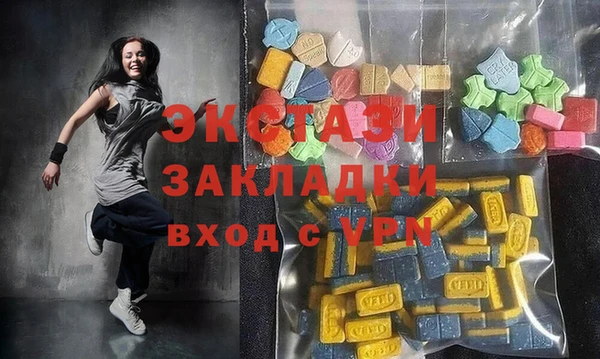 индика Приозерск