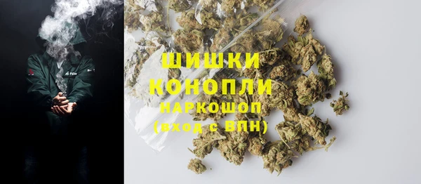 индика Приозерск
