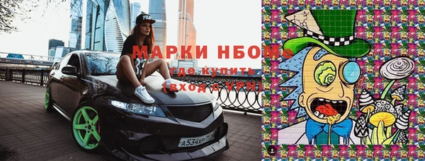 индика Приозерск