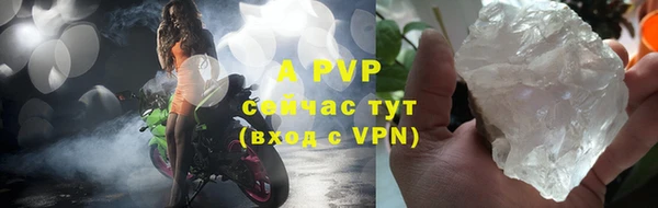индика Приозерск