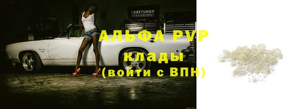 индика Приозерск