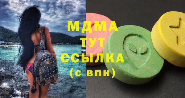 индика Приозерск