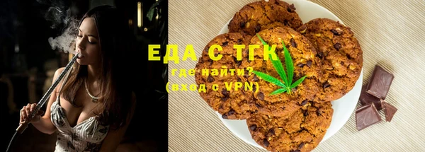 индика Приозерск
