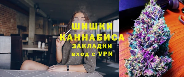 индика Приозерск