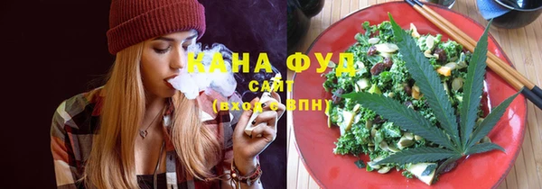 индика Приозерск