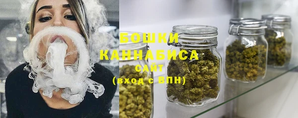 индика Приозерск