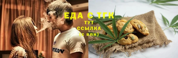 индика Приозерск