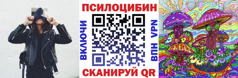 Псилоцибиновые грибы Cubensis  Купить где  Солнечногорск 